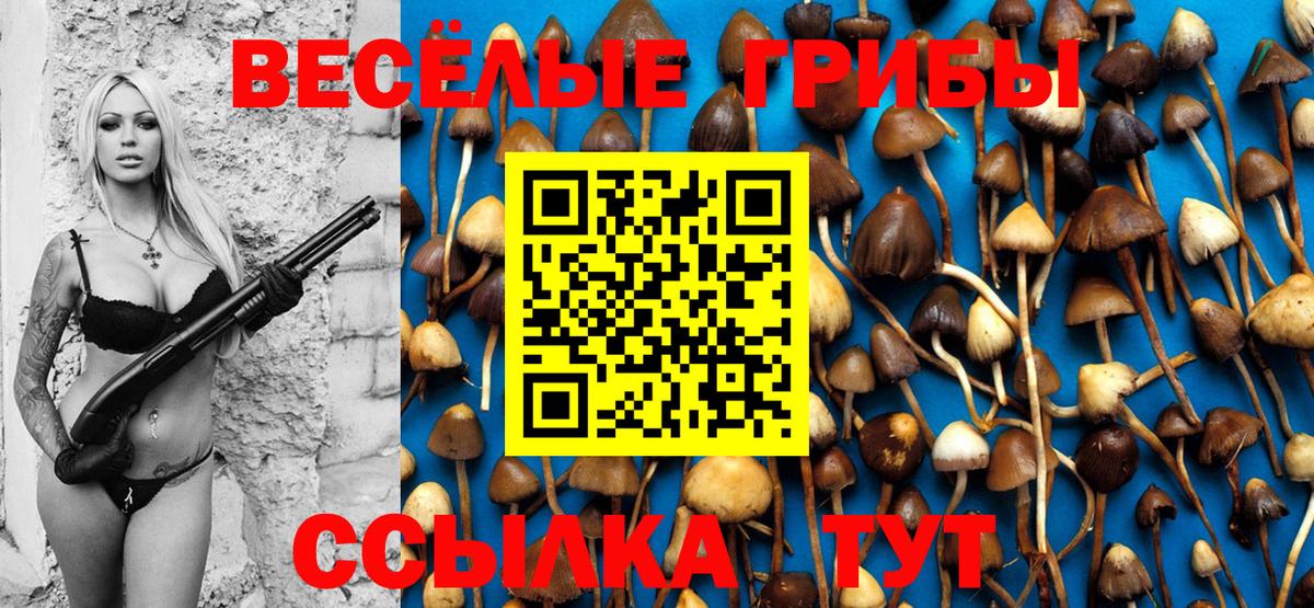 Псилоцибиновые грибы GOLDEN TEACHER Дедовск